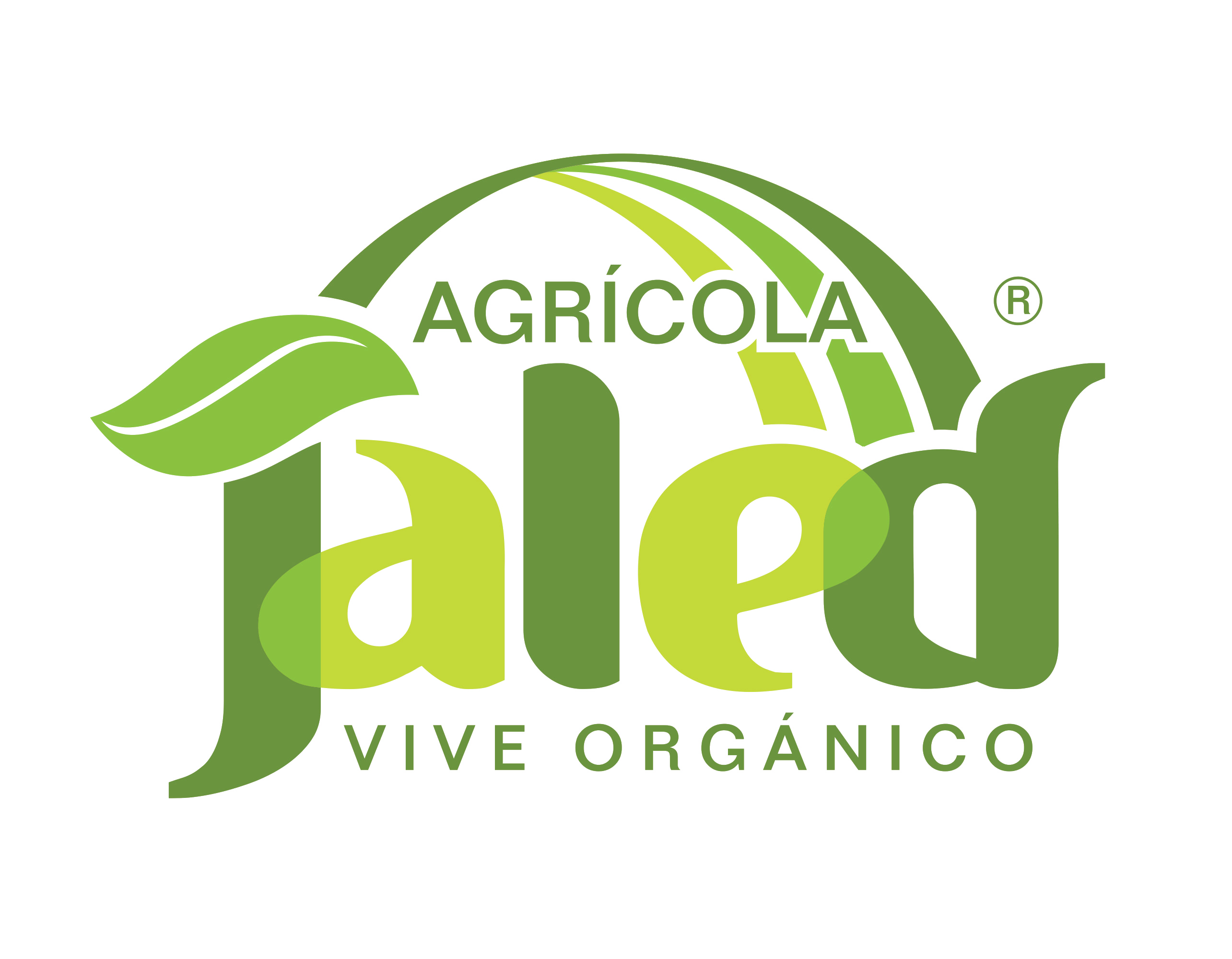 jaled_logo_sin_fondo