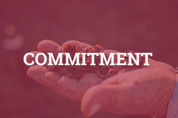 commitment