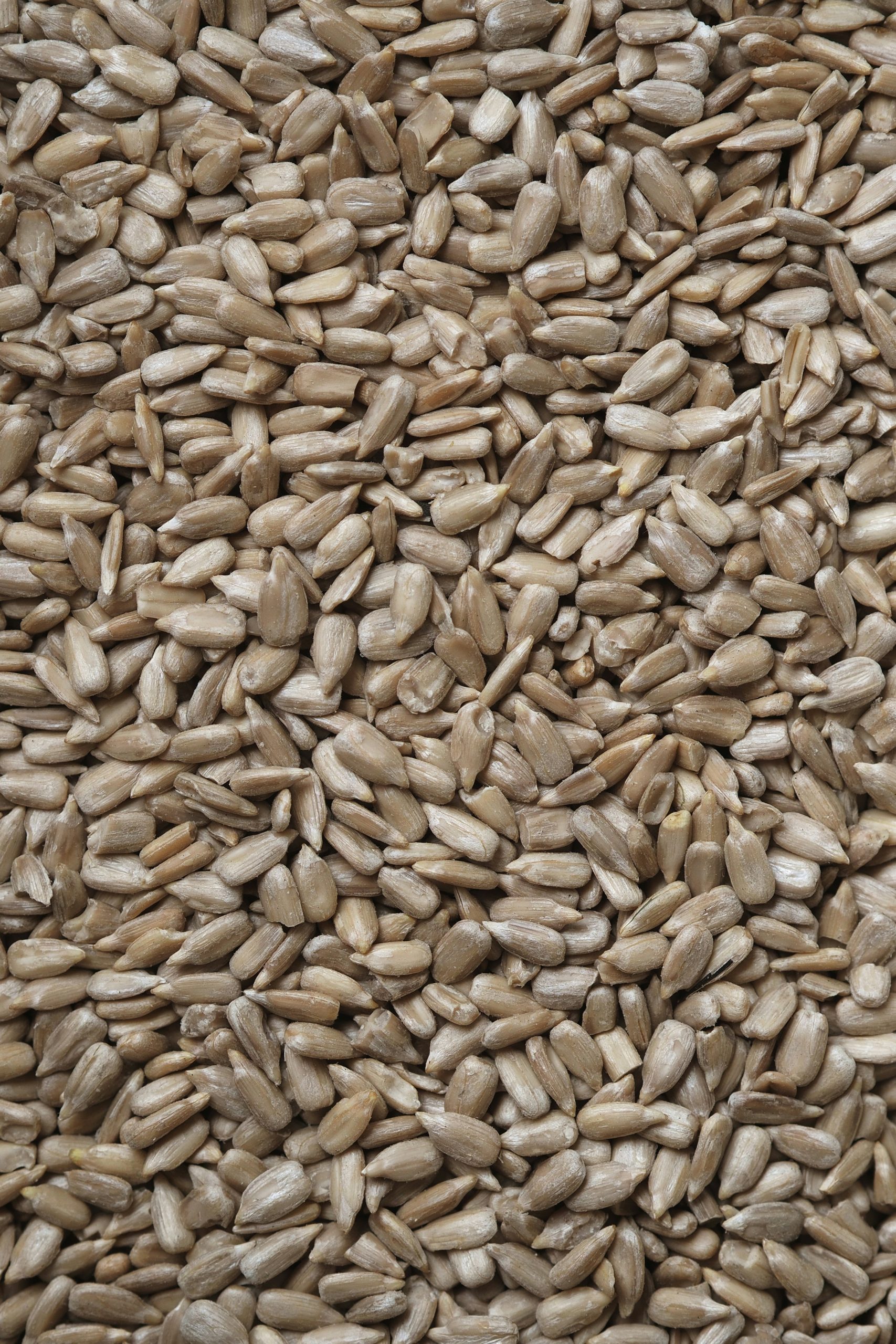 Grain Collection